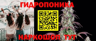 гашик Кунгур