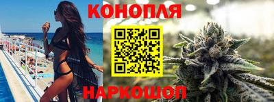 гашик Кунгур