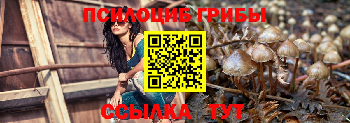 Псилоцибиновые грибы GOLDEN TEACHER  цены   Ефремов  Вход с VPN 