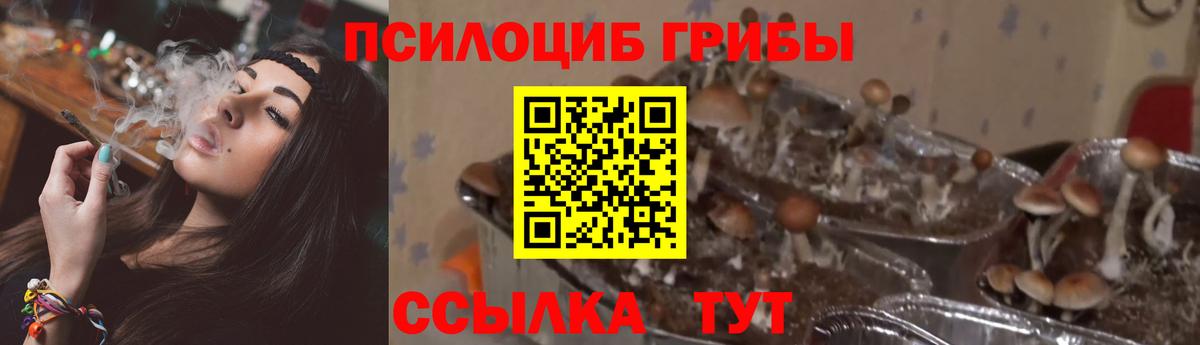 Псилоцибиновые грибы ЛСД Ефремов